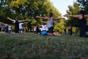 Introducción a la meditación Introducción a la meditación