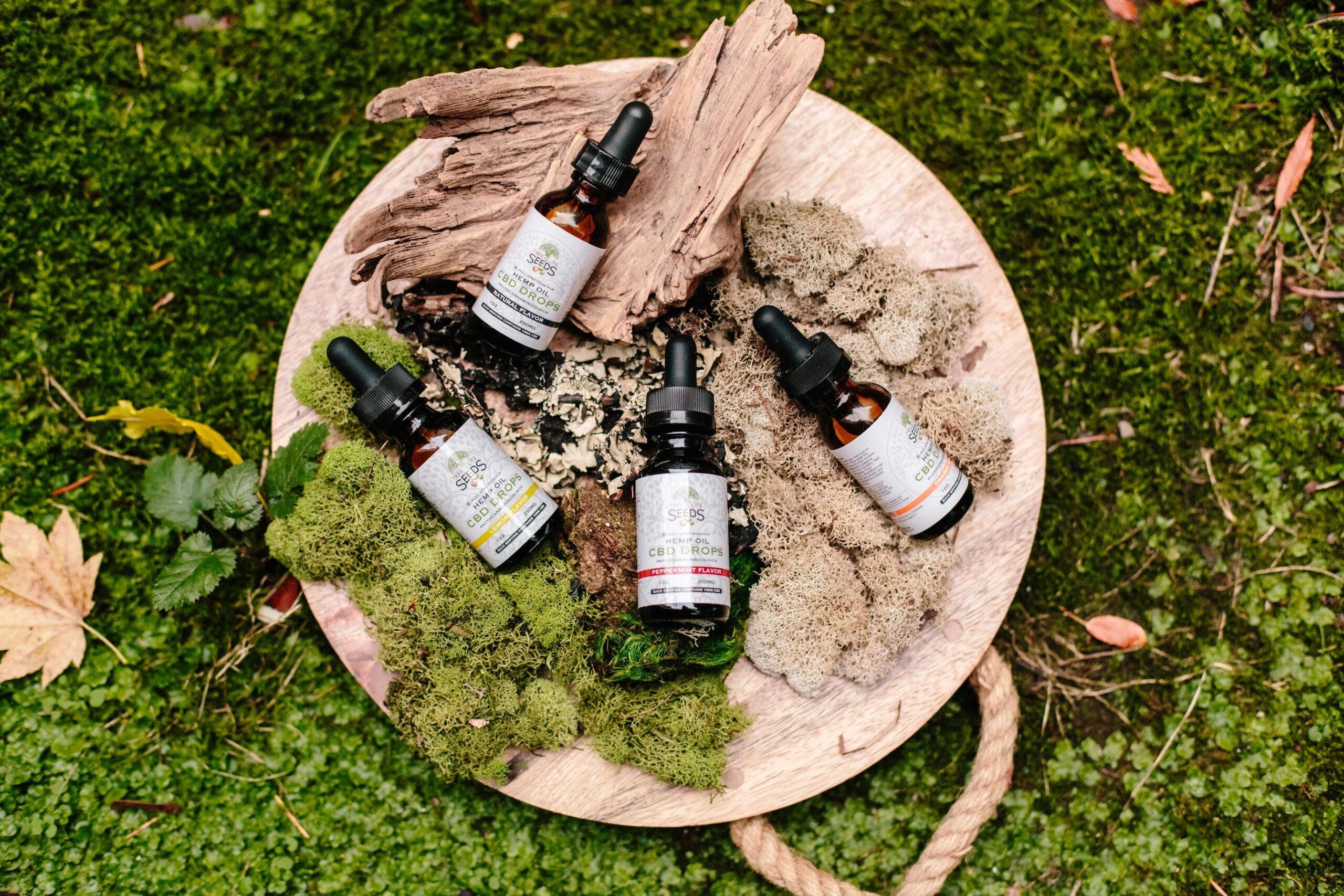 productos productos